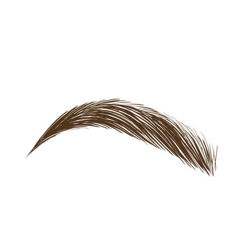 Cejas