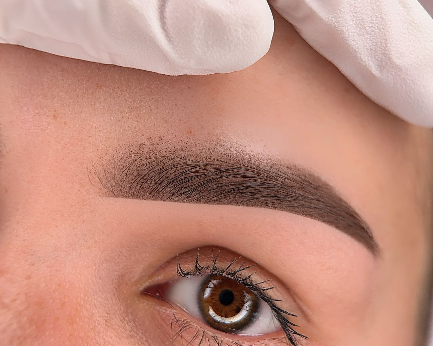 Powder / Ombre Brows